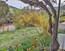 photo/PXL_20220413_151705783-2MP-min.jpg