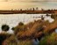 /photo/subarea/39_sunset-2847548_800-l.jpg