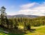 /photo/subarea/49_Harz-Brocken-bos.jpg