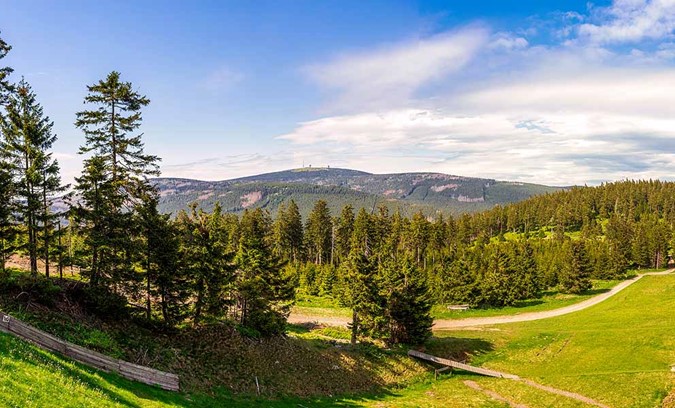 /photo/subarea/49_Harz-Brocken-bos.jpg