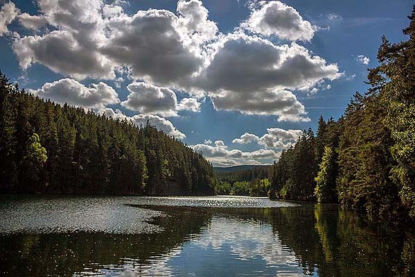 /photo/subarea/50_Thuringerwald_meer.nl.jpg