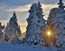 /photo/subarea/60_Sachsen_Erzgebirge_winter01_sh-min.jpg