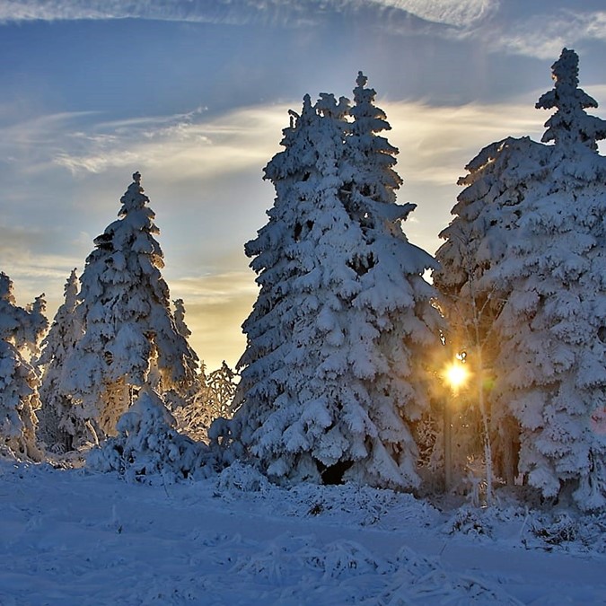 /photo/subarea/60_Sachsen_Erzgebirge_winter01_sh-min.jpg
